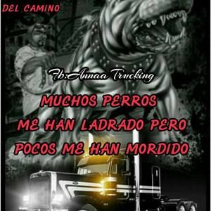 Meet your Posher, Edgar